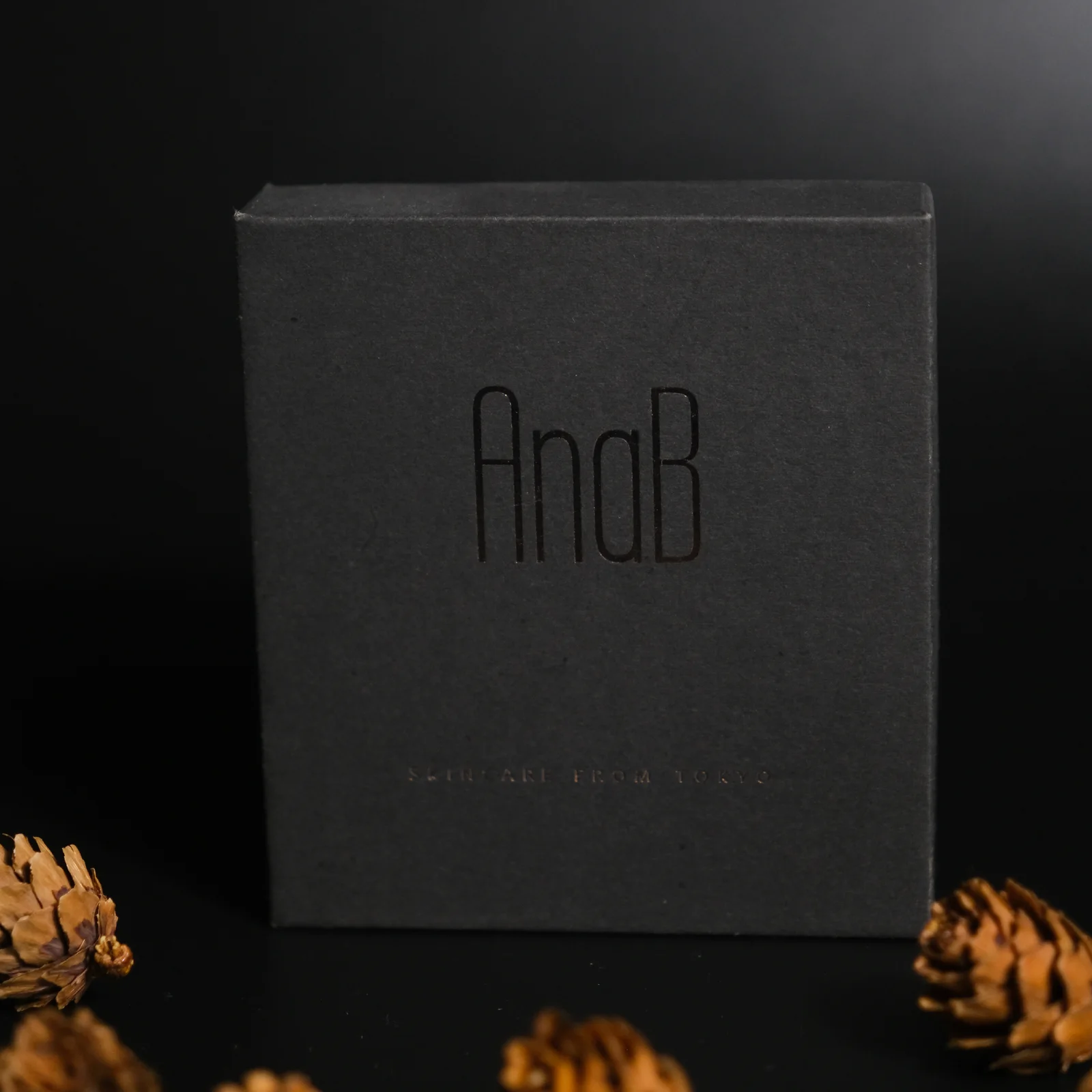 合上嘅黑色 AnaB 天地硬盒，燙金 Logo，旁邊有松果
